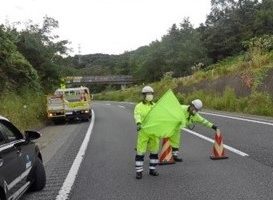 関越自動車道 上り線 走行車線規制（営業本部）